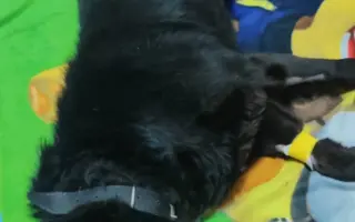 Nový život pro Ritušku