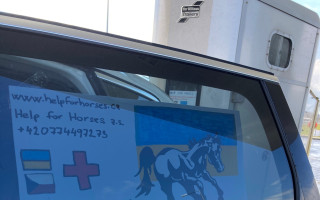 Pomoc pro koně na Ukrajině