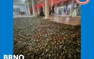 Ukryjme Ukrajinu před zraky ruských dronů! 3