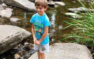 Pomozte mamince samoživitelce k cestě k novému domovu