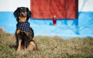 Zachraňme pravý Strážnický modrotisk