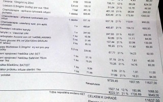 Košoul statečně žije s rakovinou - díky drahé léčbě