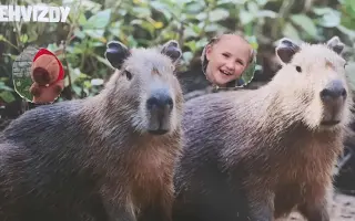 Pomozte mamince samoživitelce zajistit domov pro čtyři děti