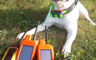GPS zařízení pro psovody a jejich záchranářské psy