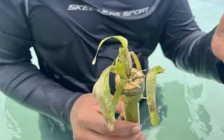 Moře nás spojuje - přidej se k jeho ochraně