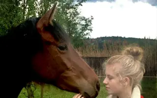 Asistenční pes, který mi pomůže žít, ne jen přežívat