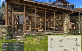 Proměňme společně kočičí svět v lepší místo 🐈