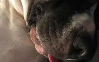 Mia ví, že čas běží… my můžeme prodloužit její chvíle