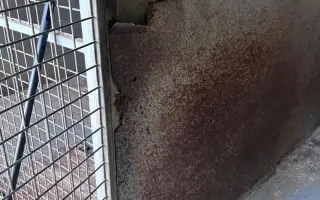 Útulek, který zachránil tisíce zvířat, dosluhuje. Pomozte nám ho opravit.