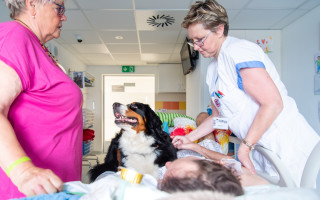 Léčiti psem, aneb společně čtyřnohým zdravotníkům