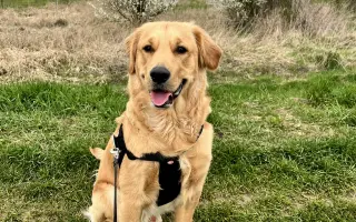 Malý Timmy si zaslouží život bez bolesti