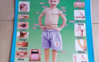 Pomozme masajským dětem: Na opravu školky, vybavení a stravu