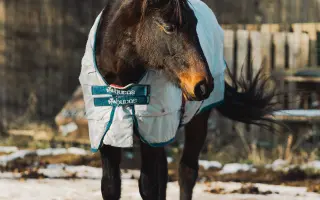 Pomůžete nám naplnit bříška hospodářským zvířátkům