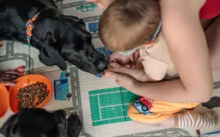 Postavme Teouška na vlastní nohy