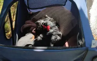 Shamy bouje s bolestí. Pomozme jí prožít stáří důstojně