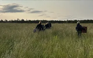 Zachraňme kokořínská srnčata