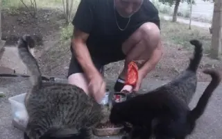 Pomůžete kočičkám bez domova?