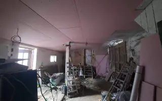 Postavme společně útulek pro kočky a psy