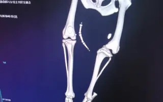 Pomozme Rikymu znovu běhat
