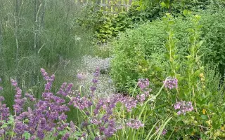 „Kniha, která promění vaši zahradu v místo plné přírody, života a zdravé půdy.“