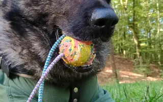 Léčba, která nekončí - Fůrie