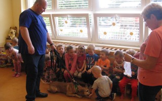 Canisterapie CANTES v krajích ČR jako sociální rehabilitace