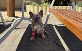 Archie bojuje. A my s ním ♥️