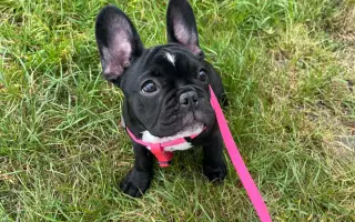 Pomoc pro malou Malinku – těžká zlomenina nožičky 🐾