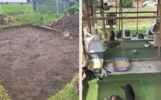 Pomozte nám dokončit kočičí útulek v Číčové