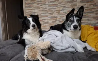 Život bez bolesti pro Mildu