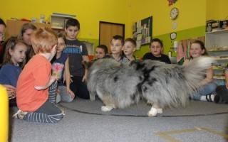 Canisterapie CANTES v krajích ČR jako sociální rehabilitace