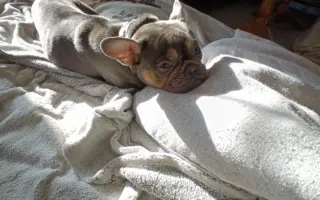 Pomozte Jasmínce běhat bez bolesti ❤️