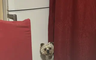 Pomozte prosím prodloužit život Maxovi