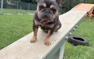 Pomoc pro Mimi