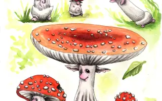 Podpořte KOLODĚJE - houbové hrdiny