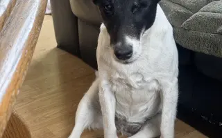 Pomozte zachránit Berrynku