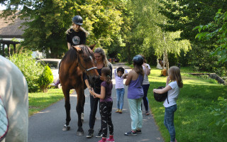 Pomozme nakrmit koně, kteří pomáhají dětem