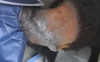 Úžasná Rozinka, která celý život pomáhala, nyní sama potřebuje pomoc