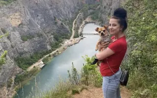 Pomoc pro Brownieho