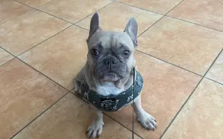 Archie bojuje. A my s ním ♥️
