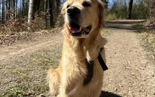 Zlatý Artur a jeho boj s mastocytomy