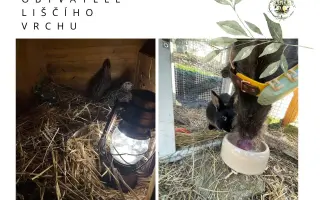 Pojďme dát dětem a dospělým vlastní prostor - lesní školku a komunitní centrum