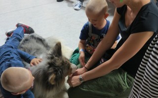 Canisterapie CANTES v krajích ČR jako sociální rehabilitace