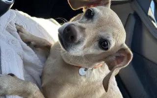 Pomozte při léčení Julinky