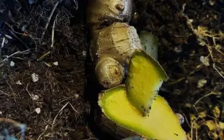 Podpořte bylinkový projekt Azeret Herbs