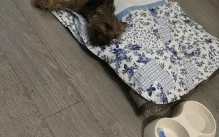 Pomoc Majkynkovi zpět na nohy♥️