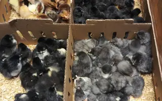Pomozme společně obnovit zničenou farmu a živobytí farmáře Vládi!
