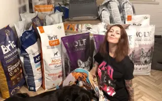 Vánoční materiální sbírka pro psy v nouzi #10