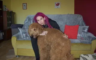 Kvalitnější život pro Annie: doplatek na výcvik asistenčního psa Caspera