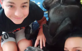 Pomozme Elince znovu chodit bez bolesti: Boj s přetrženými vazy